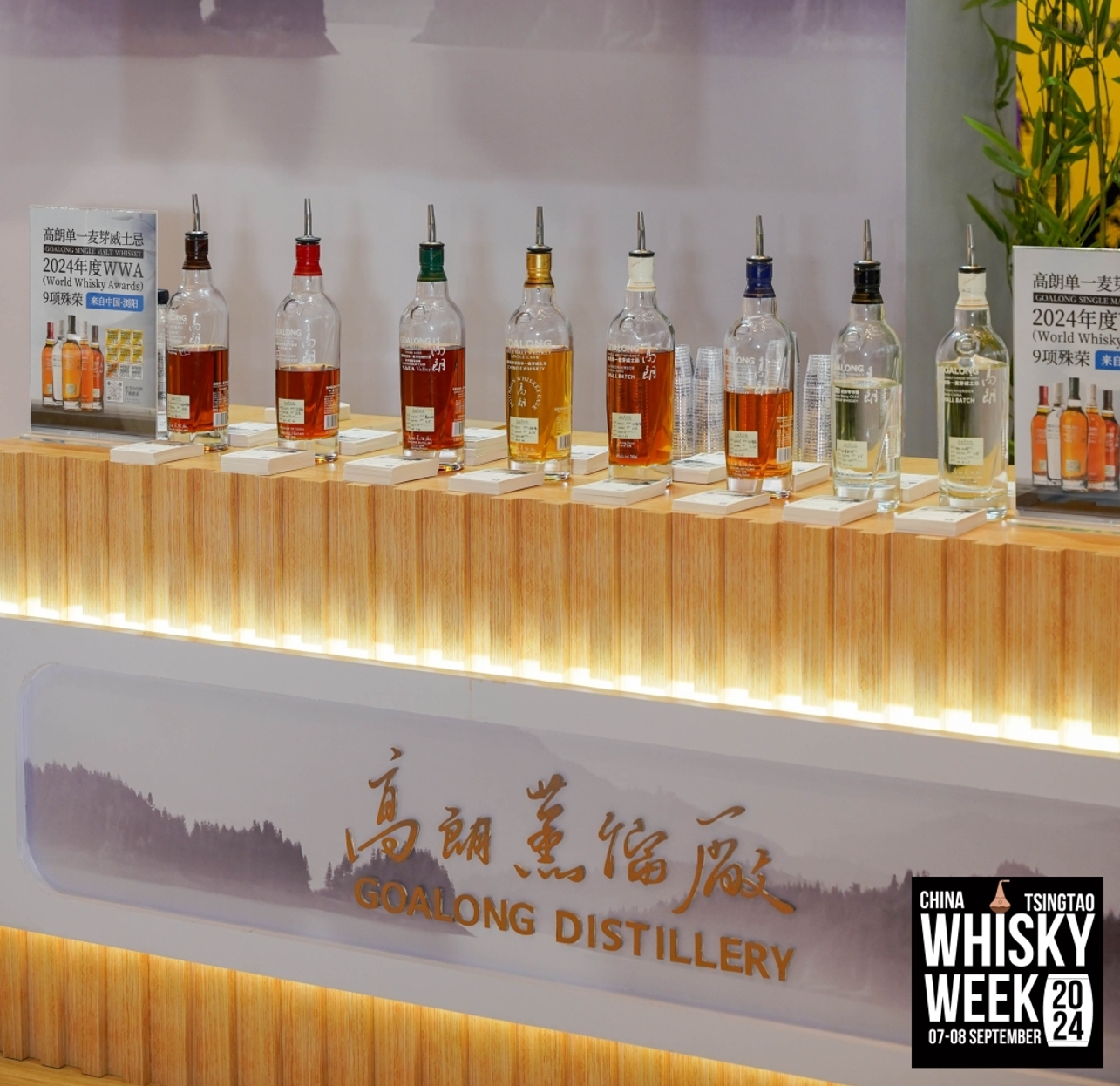 2024 tsingtao whiskey week: виски мыктылыгын кытай салты менен бириктирүү